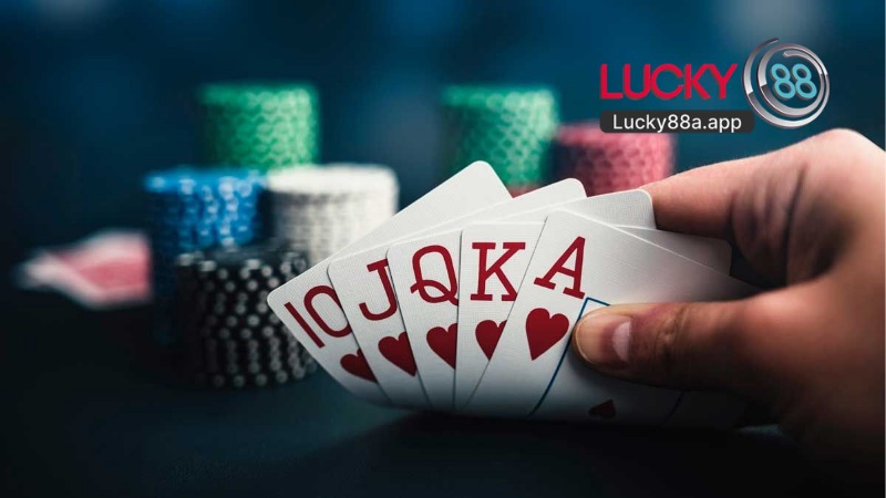 Sảnh Live Sexy Gaming Lucky88